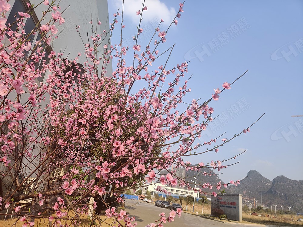 廣西桂林鴻程機(jī)械廠里花團(tuán)錦簇，滿園春色，邀您一起共賞春景，共商大計(jì)！